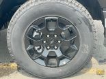 New 2025 Ford F-150 STX 4x4 SuperCrew 5.5' Box