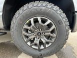 New 2025 Ford F-150 Tremor 4x4 SuperCrew 5.5' Box