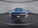 New 2025 Ford F-150 XL 4x4 Reg Cab 8' Box