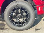 New 2025 Ford F-150 STX 4x4 SuperCrew 5.5' Box