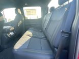 New 2025 Ford F-150 STX 4x4 SuperCrew 5.5' Box
