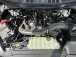 New 2025 Ford F-150 XLT 4x4 SuperCrew 6.5' Box