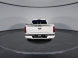 New 2025 Ford F-150 XLT 4x4 SuperCrew 5.5' Box
