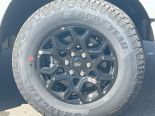New 2025 Ford F-150 XLT 4x4 SuperCrew 5.5' Box