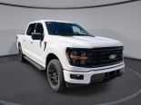 New 2025 Ford F-150 XLT 4x4 SuperCrew 5.5' Box