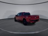 New 2025 Ford F-150 XLT 4x4 SuperCrew 5.5' Box