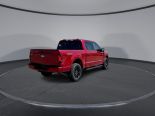 New 2025 Ford F-150 XLT 4x4 SuperCrew 5.5' Box