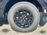 New 2025 Ford F-150 XLT 4x4 SuperCrew 5.5' Box
