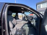 New 2025 Ford F-150 XLT 4x4 SuperCrew 5.5' Box