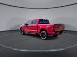 New 2025 Ford F-150 XLT 4x4 SuperCrew 5.5' Box