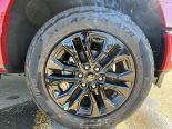 New 2025 Ford F-150 XLT 4x4 SuperCrew 5.5' Box