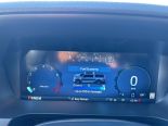 New 2025 Ford F-150 XLT 4x4 SuperCrew 5.5' Box