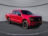 New 2025 Ford F-150 XLT 4x4 SuperCrew 5.5' Box