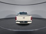 New 2025 Ford F-150 XLT 4x4 SuperCrew 6.5' Box