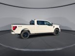 New 2025 Ford F-150 XLT 4x4 SuperCrew 6.5' Box