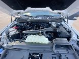 New 2025 Ford F-150 XLT 4x4 SuperCrew 6.5' Box