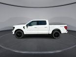New 2025 Ford F-150 XLT 4x4 SuperCrew 5.5' Box