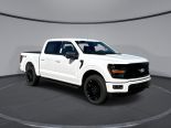 New 2025 Ford F-150 XLT 4x4 SuperCrew 5.5' Box
