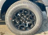 New 2025 Ford F-150 XLT 4x4 SuperCrew 5.5' Box