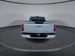 New 2025 Ford F-150 XL 4x4 SuperCrew 5.5' Box