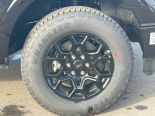 New 2025 Ford F-150 STX 4x4 SuperCrew 5.5' Box