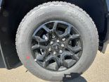 New 2025 Ford F-150 XLT 4x4 SuperCrew 5.5' Box