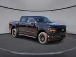 New 2025 Ford F-150 XLT 4x4 SuperCrew 5.5' Box