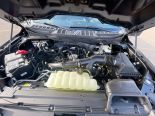 New 2025 Ford F-150 STX 4x4 SuperCrew 5.5' Box