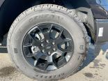 New 2025 Ford F-150 STX 4x4 SuperCrew 5.5' Box