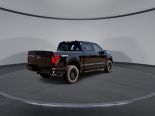 New 2025 Ford F-150 XLT 4x4 SuperCrew 5.5' Box