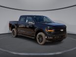 New 2025 Ford F-150 XLT 4x4 SuperCrew 5.5' Box