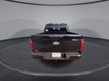 New 2025 Ford F-150 XLT 4x4 SuperCrew 5.5' Box