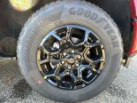 New 2025 Ford F-150 XLT 4x4 SuperCrew 5.5' Box