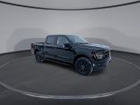 New 2025 Ford F-150 XLT 4x4 SuperCrew 5.5' Box