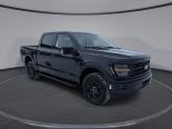 New 2025 Ford F-150 XLT 4x4 SuperCrew 5.5' Box