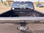 New 2025 Ford F-150 XLT 4x4 SuperCrew 5.5' Box