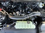 New 2025 Ford F-150 XLT 4x4 SuperCrew 5.5' Box