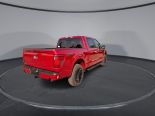 New 2025 Ford F-150 XLT 4x4 SuperCrew 5.5' Box