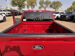 New 2025 Ford F-150 XLT 4x4 SuperCrew 5.5' Box