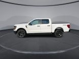 New 2025 Ford F-150 STX 4x4 SuperCrew 5.5' Box
