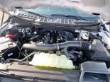New 2025 Ford F-150 STX 4x4 SuperCrew 5.5' Box