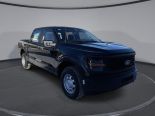 New 2025 Ford F-150 XL 4x4 SuperCrew 5.5' Box