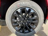 New 2025 Ford F-150 XLT 4x4 SuperCrew 5.5' Box