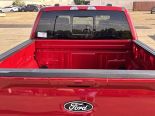 New 2025 Ford F-150 XLT 4x4 SuperCrew 5.5' Box