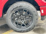 New 2025 Ford F-150 STX 4x4 SuperCrew 5.5' Box