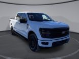 New 2025 Ford F-150 XLT 4x4 SuperCrew 5.5' Box