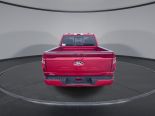 New 2025 Ford F-150 XLT 4x4 SuperCrew 5.5' Box