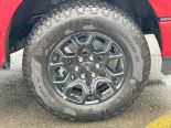 New 2025 Ford F-150 XLT 4x4 SuperCrew 5.5' Box
