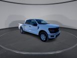 New 2025 Ford F-150 XL 4x4 SuperCrew 5.5' Box