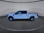 New 2025 Ford F-150 XL 4x4 SuperCrew 5.5' Box